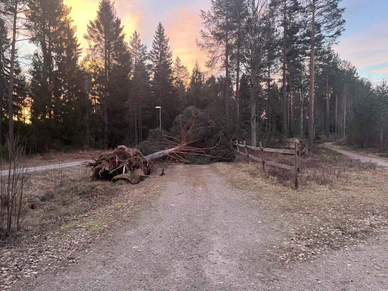 B1943a98-7051-40a2-8ef3-ca48d101dc0f