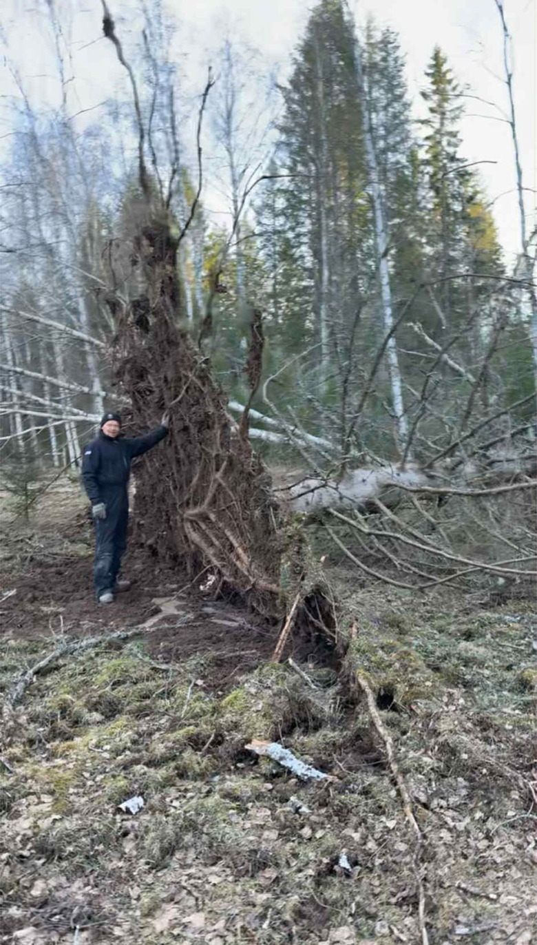 C49d53d6-aa48-41c2-ad3e-1b66675a46a5