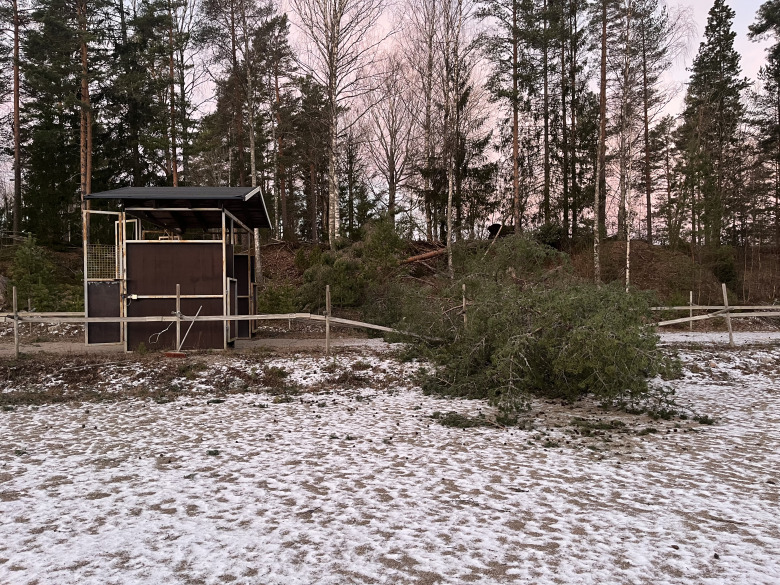 Dd752ab0-7160-43aa-9637-b92c761c14ce