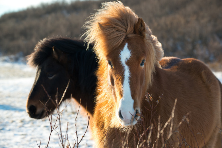 Filippa Helltén: ”Onödigt slitage finns det ingen anledning till”