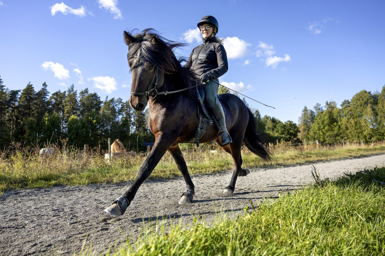Få koll på ställningen