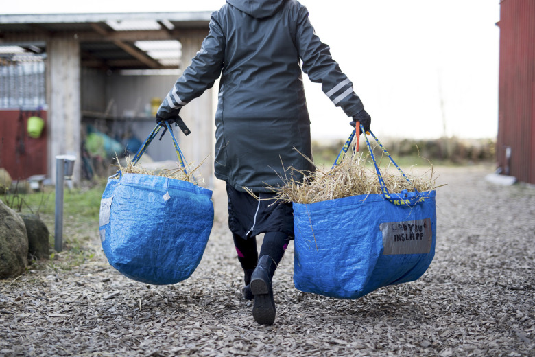 Kostnaderna bit för bit – så resonerar hästägarna kring ekonomi