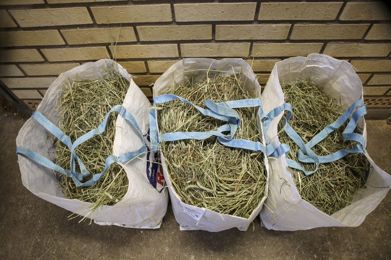 Hopasar1140207rt-1536x1024