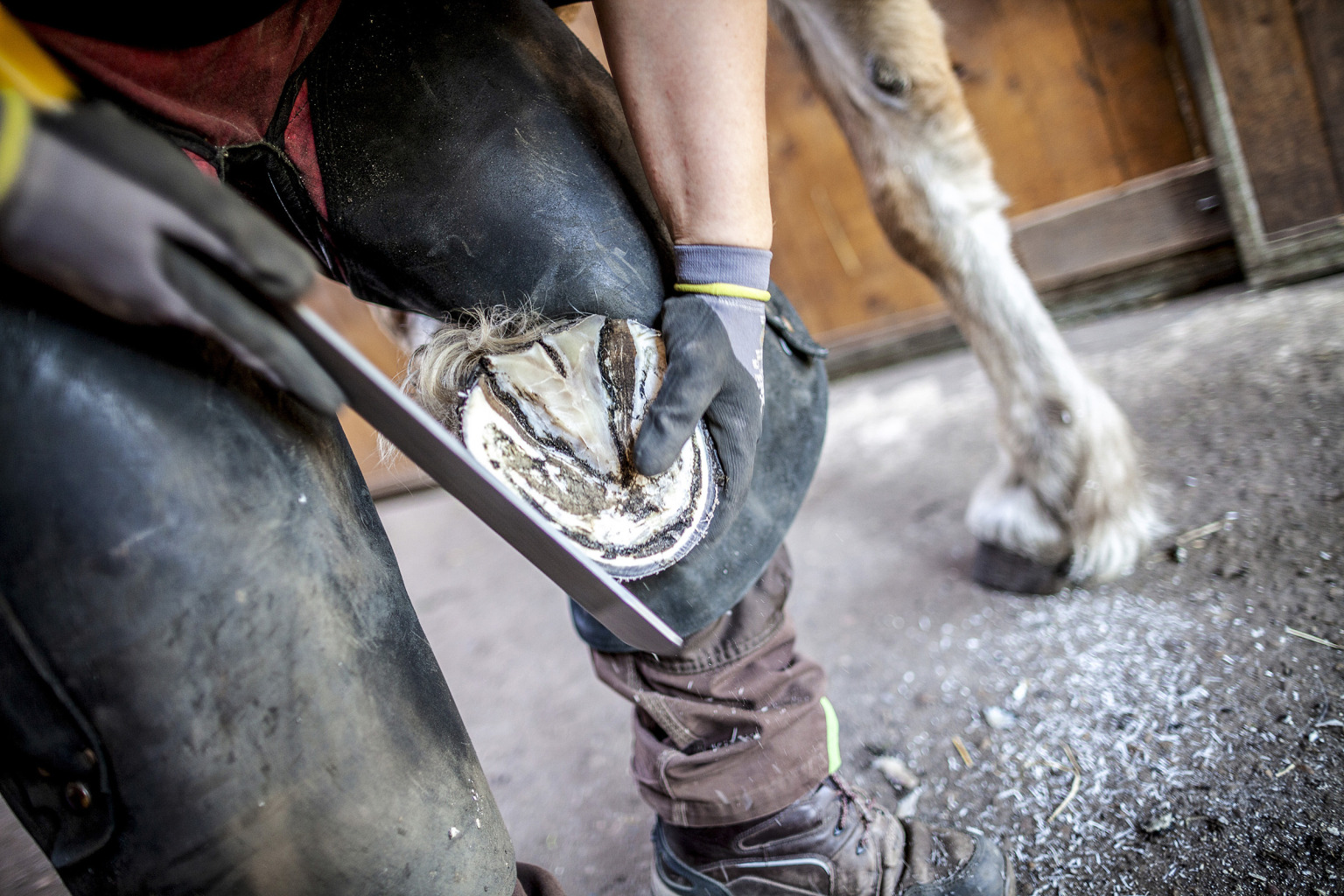 Istock949611782-1536x1024