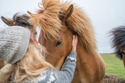 Islandshästar kan få roll i nytt forskningsprojekt om skolbarn