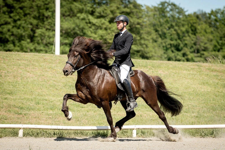 Medaljer i drivor för Oddi från Skeppargården