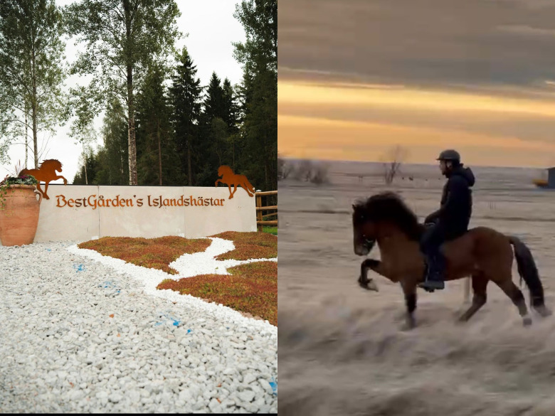 Paret Kabers storsatsning tar plats på Bestgården