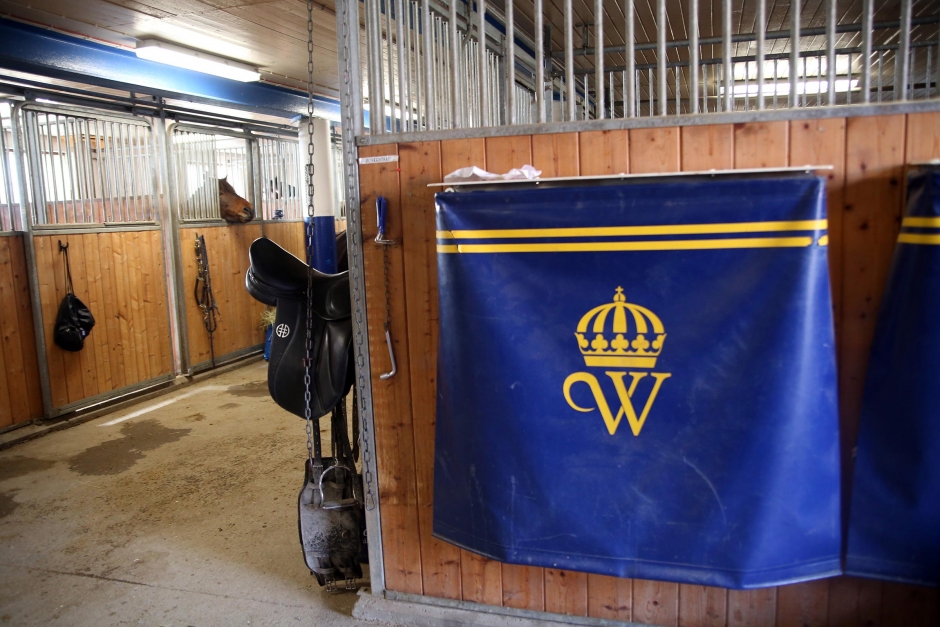 Blandade upplevelser av Wångens islandshästutbildningar