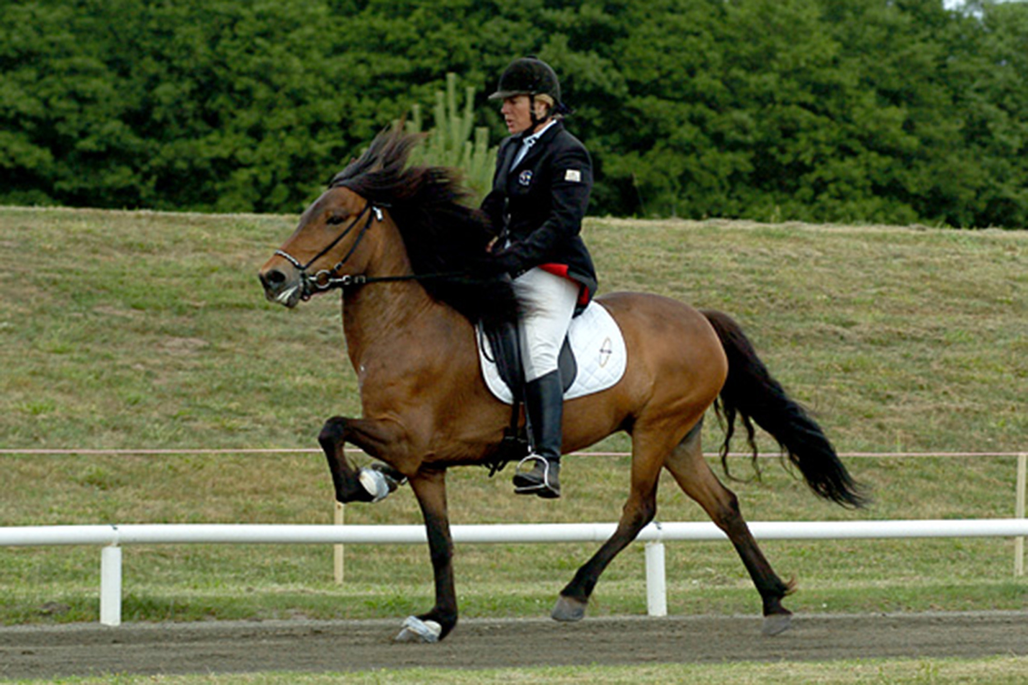 Vepja Fr&aring;n Fors