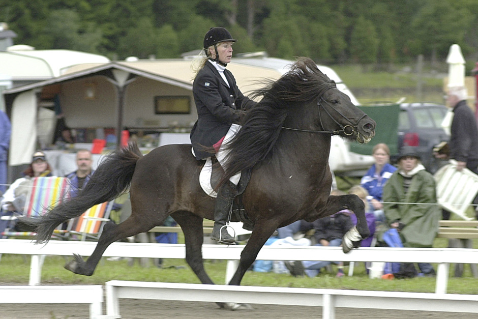 Ylva Hagander: ”Mökkur blev en familjemedlem”