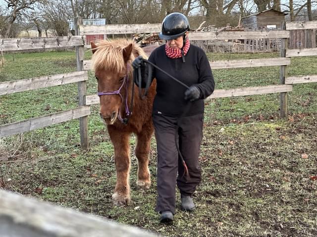 Anncatrinredin_freyja_foto_privat