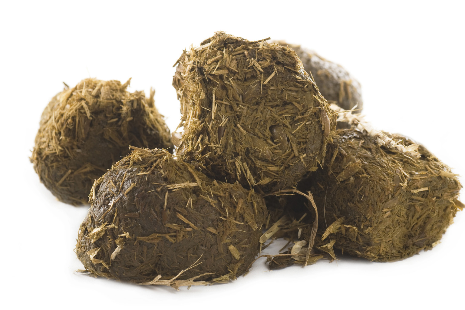 Istock176773190-1536x1024