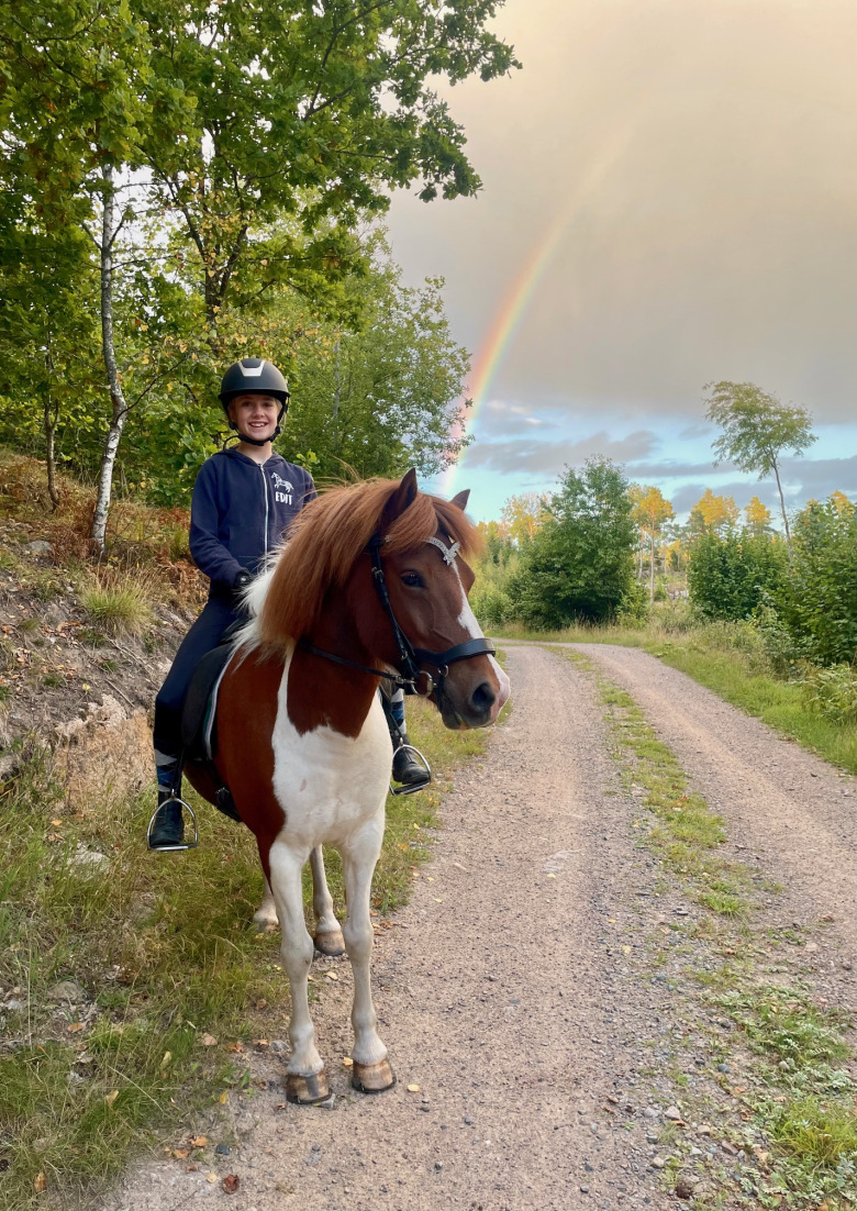 Läsarberättelse: ”Utan hästarna är det något som fattas”