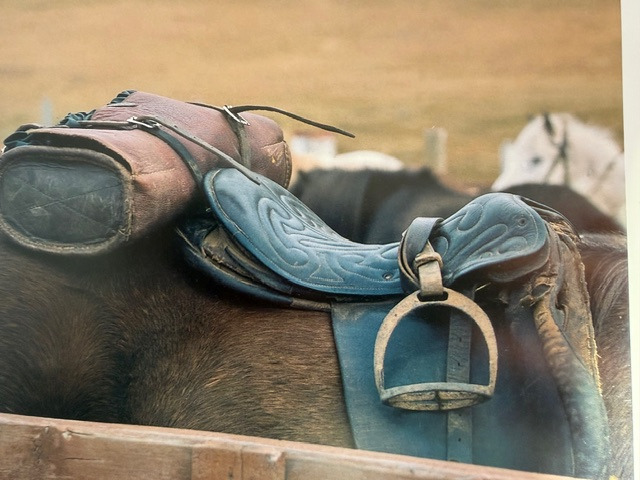 Old Saddle Sussanne Braun