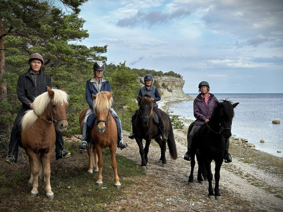 Austur islandshästförening bygger gemenskap för 60/65+ 