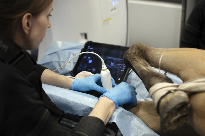 Därför blev din försäkring dyrare i år