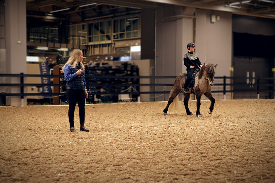 Från markarbete till lösgjord tölt: “Vägen mot målet”