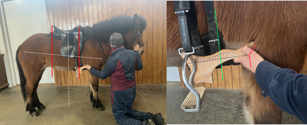 Susanne Barun Sadelgjordsverktyg 2