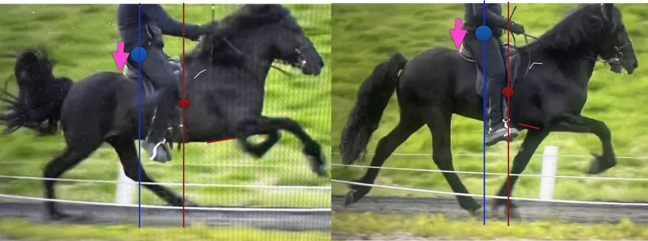 Susanne Braun Svart H&auml;st