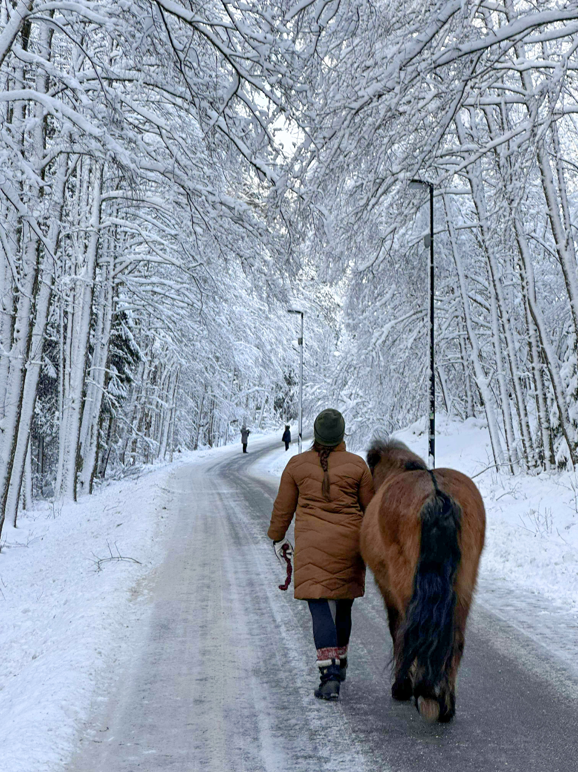 Utepatur_foto_privat