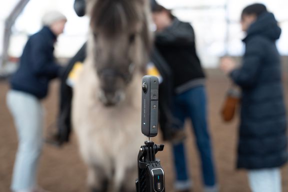 Banbrytande teknik kan ge ny förståelse för tölten