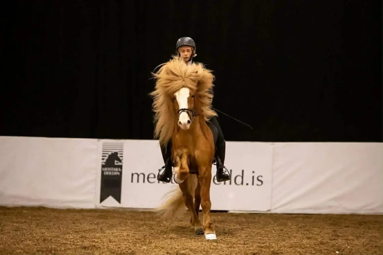 Meistaradeild: Topp tre i T1 och 100 meter pass – se ritterna från finalen