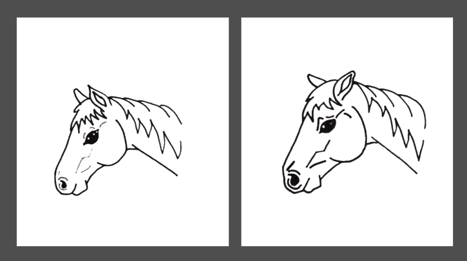 Veterinärbloggen: Hästens pain face