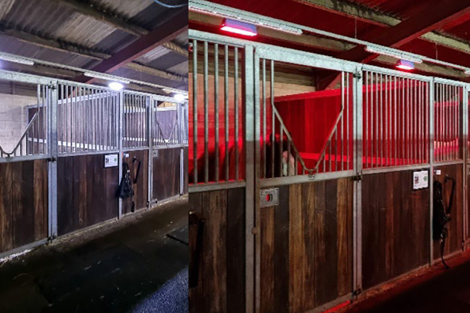 Bladagrodnatt-1536x1024