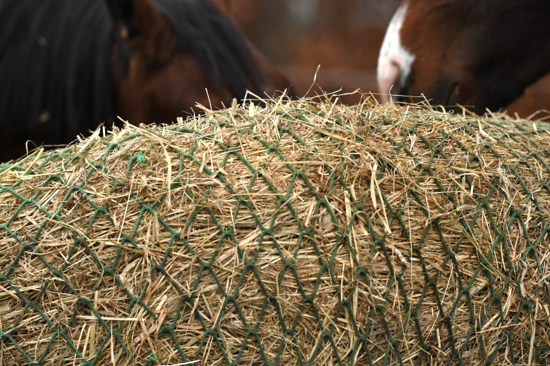Forskningsnytt: Plus och minus med slowfeeder