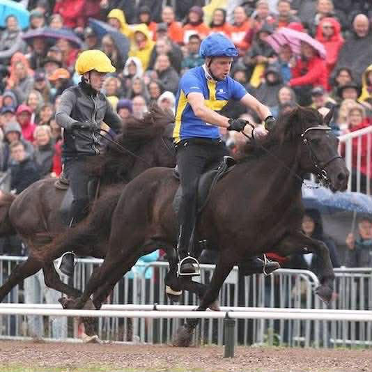 Svenska världsrekordstoet har dött: ”Hade hoppats på flera år”