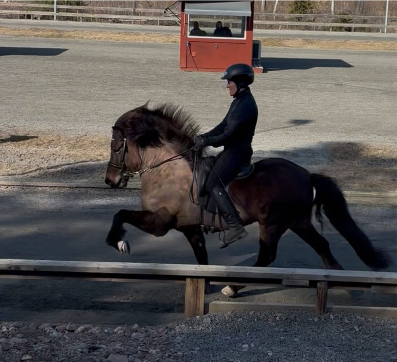 Succéhelg för Isabell Lotfi på Marma: ”Kapaciteten finns”