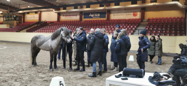 Mästarmöte: Professorer i ridkonst mötte lärare från Wången, Flyinge och Strömsholm 