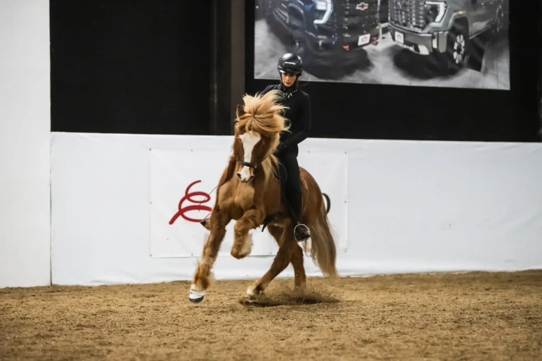 Seger igen – Aðalheiður och Flóvent bäst i gæðingalist