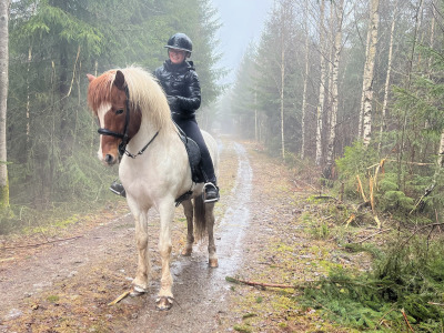 Viggurs GK-kval: Tuva Ingemansson levererade med nyförvärvet