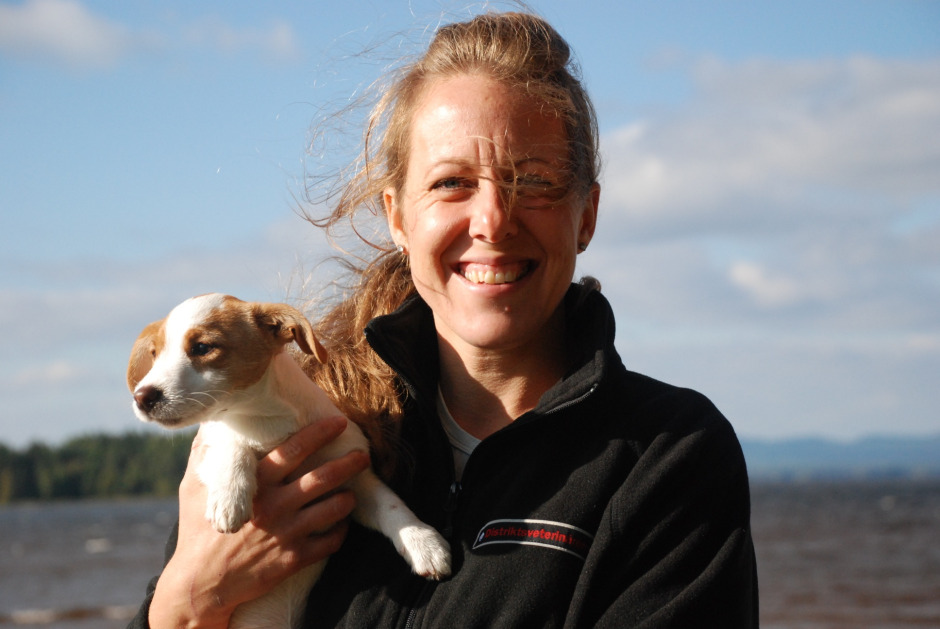 Veterinärbloggen: Hunden – hästmänniskans bästa vän