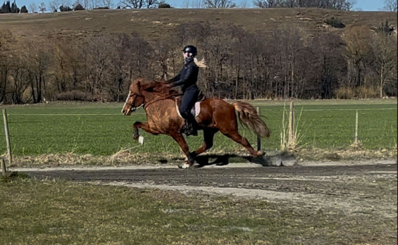 Anna Olsson en vinnare på Sundabakki: ”Hon gör det med hjärtat”