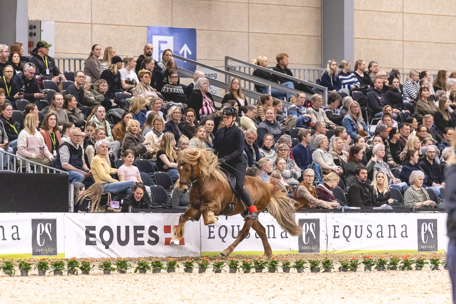 Anne Frank_winner_f1