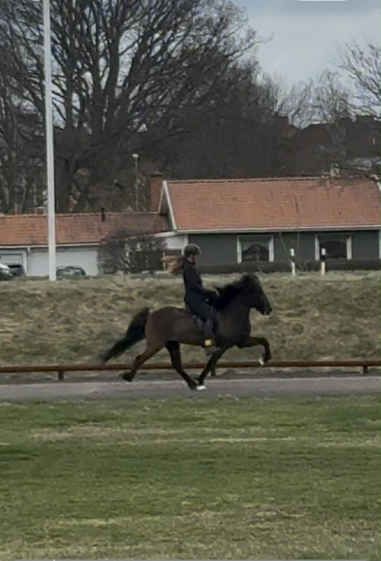 Åsa Nevander Holmén en vinnare hos Strokkur – unga ryttare stack ut