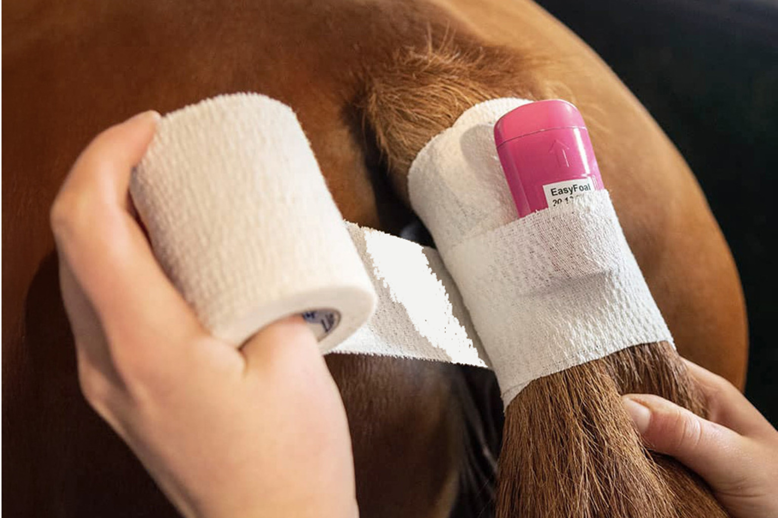 Easyfoalindoorkitmedia4-1536x1024