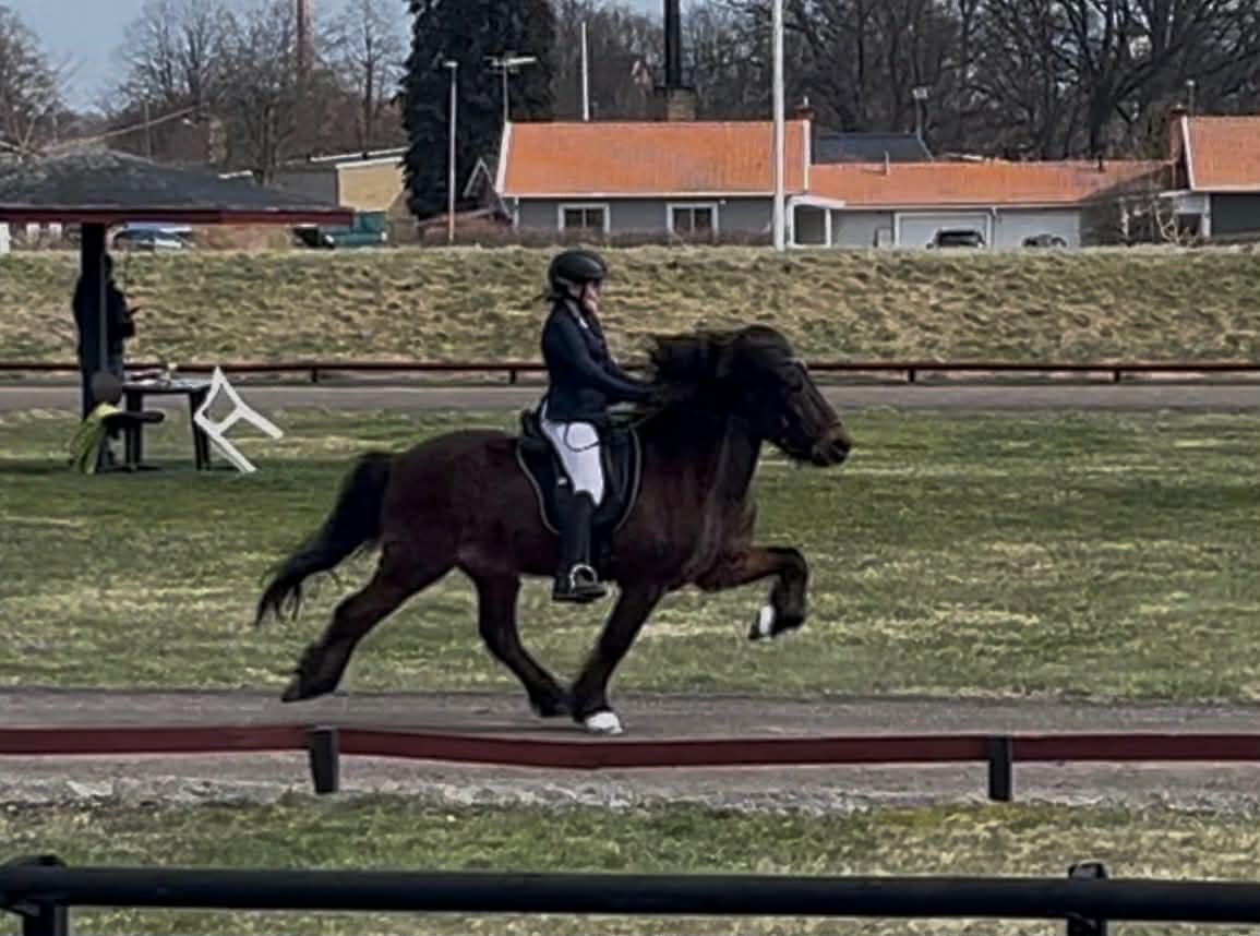 Freyja F&auml;ltsj&ouml; Leknir