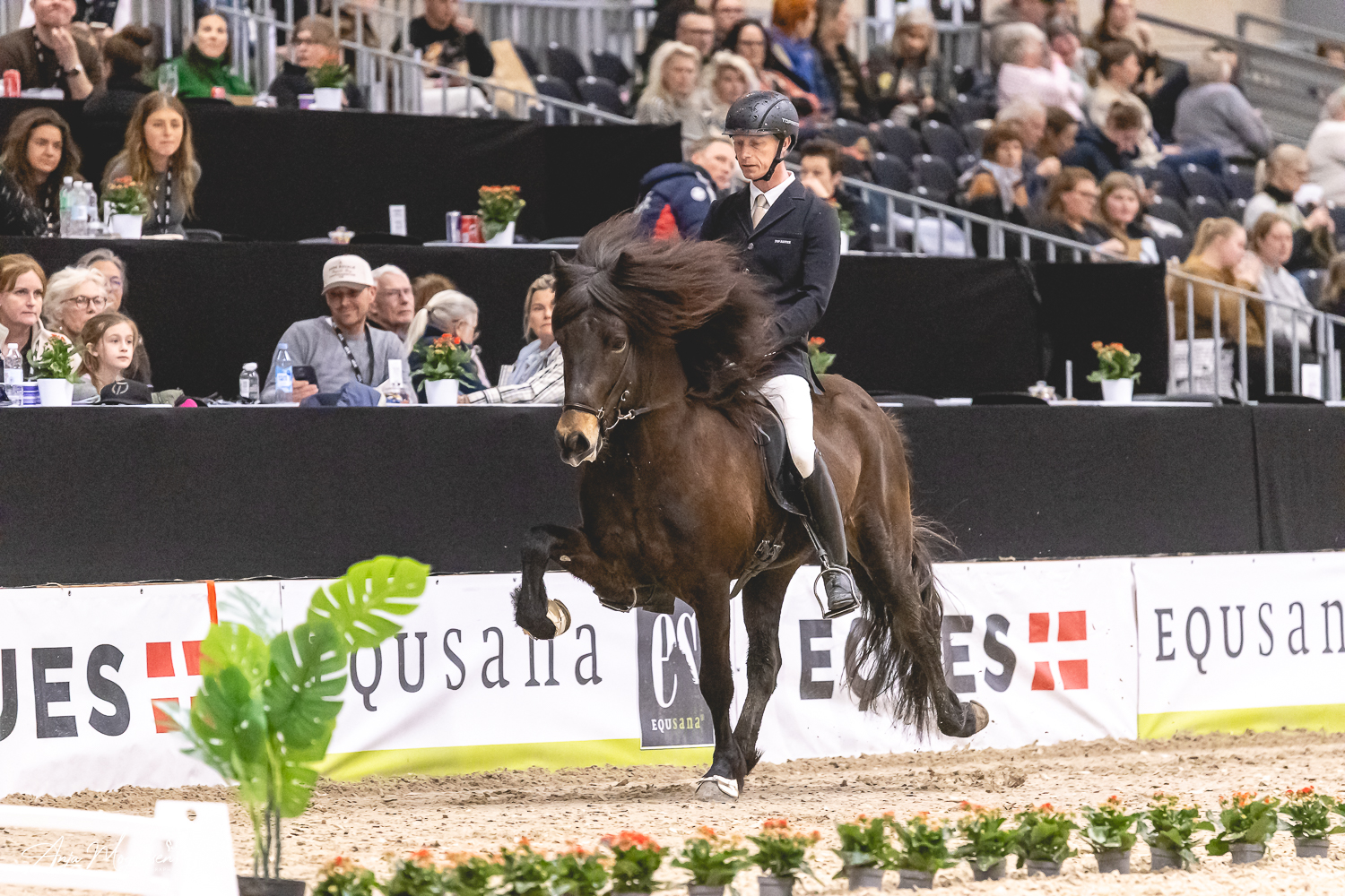 Hans-christian L&oslash;we, Jarl Fra Vivildgg&aring;rd_t&oslash;lt_v1