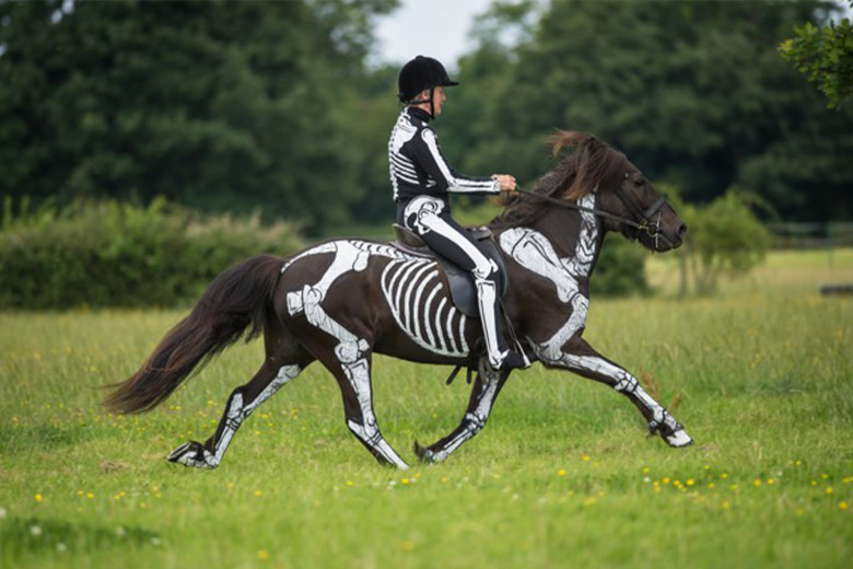 Biomekanikexperten Gillian Higgins: “Har hästen dålig hållning är det risk för skador”