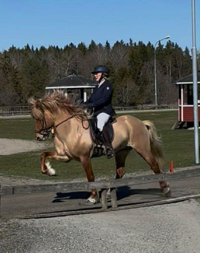 Maria Vestin Hedin toppade T1 på Toftinge