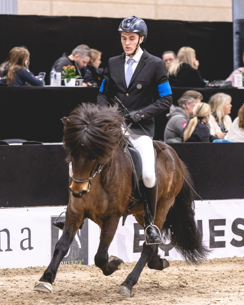 Svenska framgångar på Icehorse -pallplats och finalbiljett