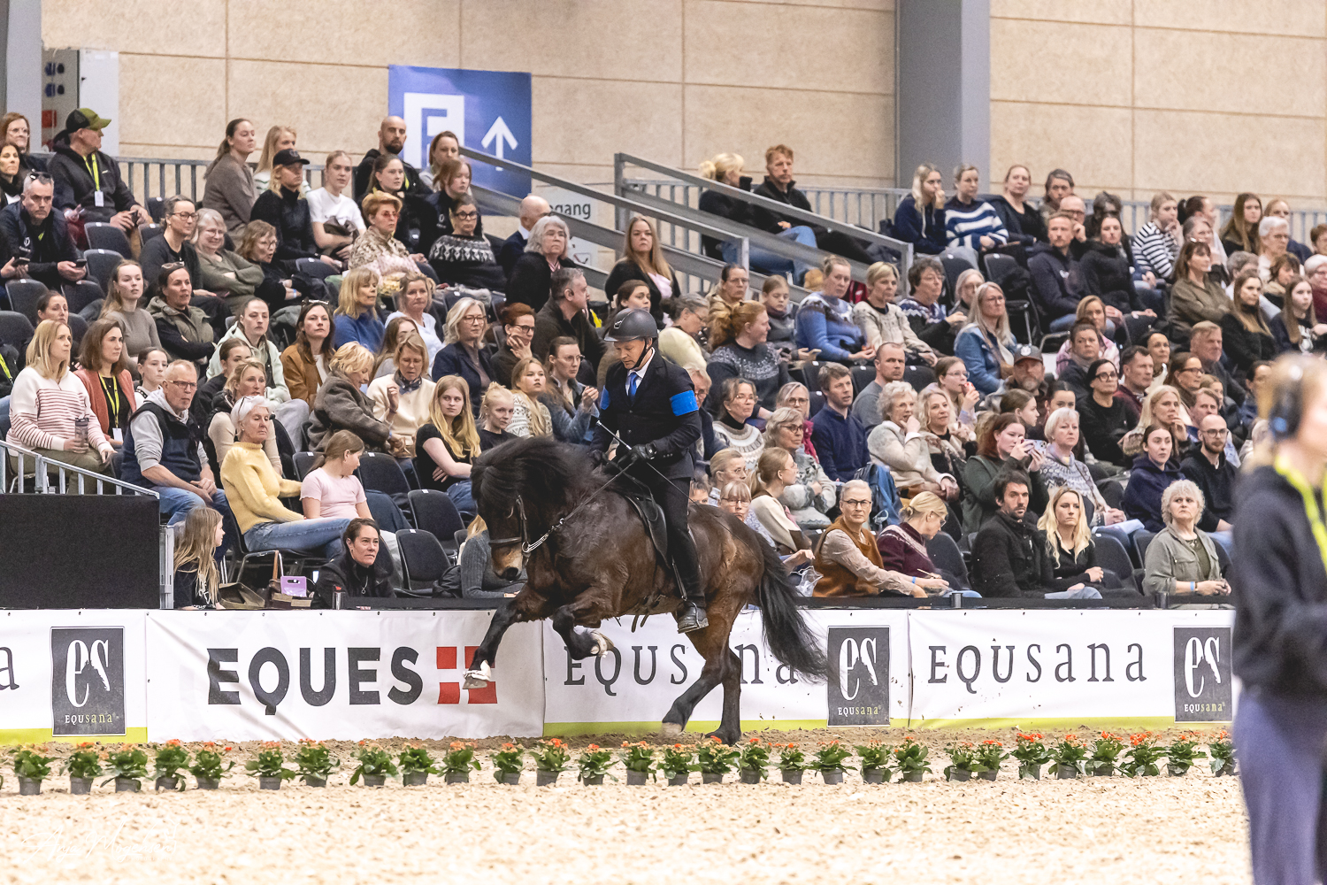 Rasmus M&oslash;ller Jensen_f1_harpa_nr.2