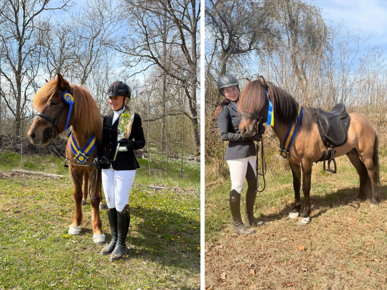 Flera segrarna korade på Strokkur nivå 1