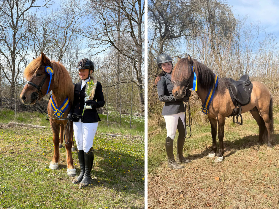 Flera segrarna korade på Strokkur nivå 1