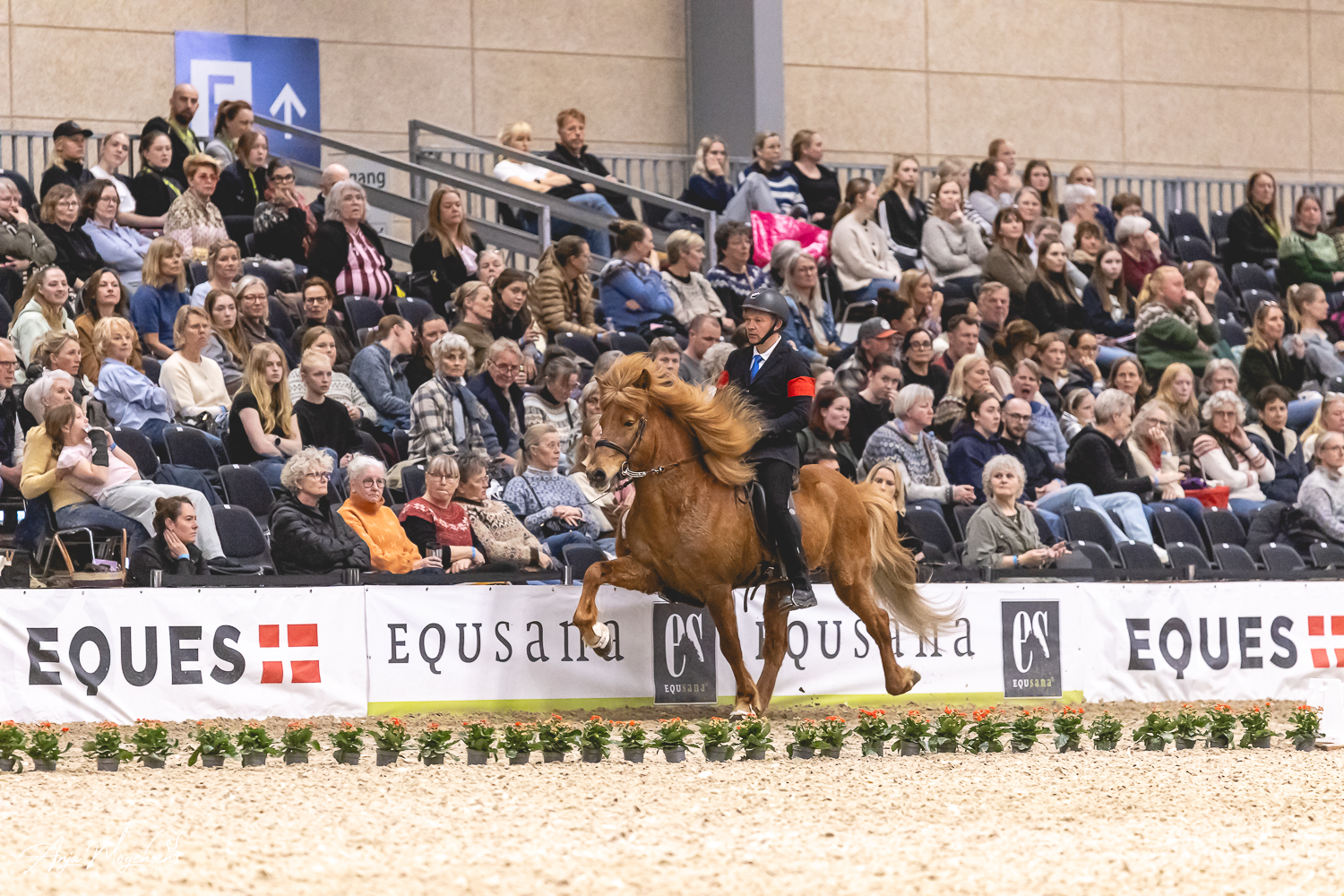 T1_rasmus Moeller_jensen_winner