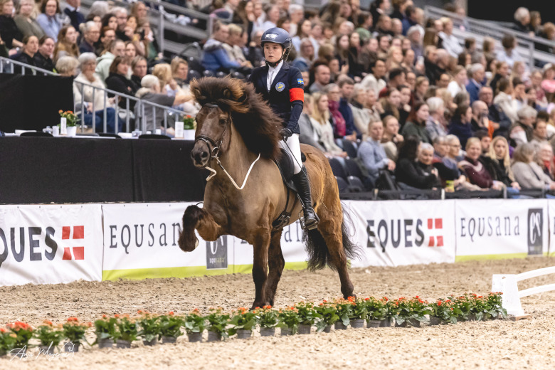 Finaldag på Icehorse Festival: Tekla bärgade dubbla vinster