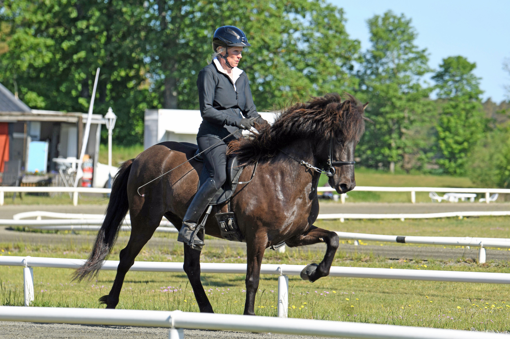Alpena-